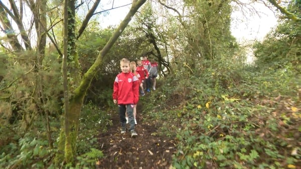 Co Clare school hopes to use local ringfort for outdoor classroom
