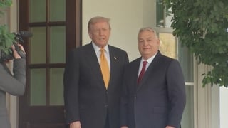 Trump greets Hungary's Orban for talks at the White House