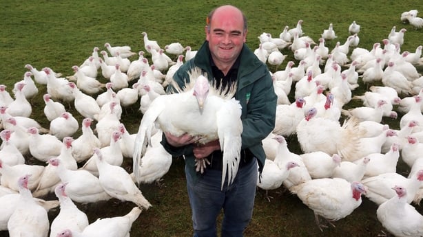 Billy Gray surrounded by turkeys at Feighcullen Farm