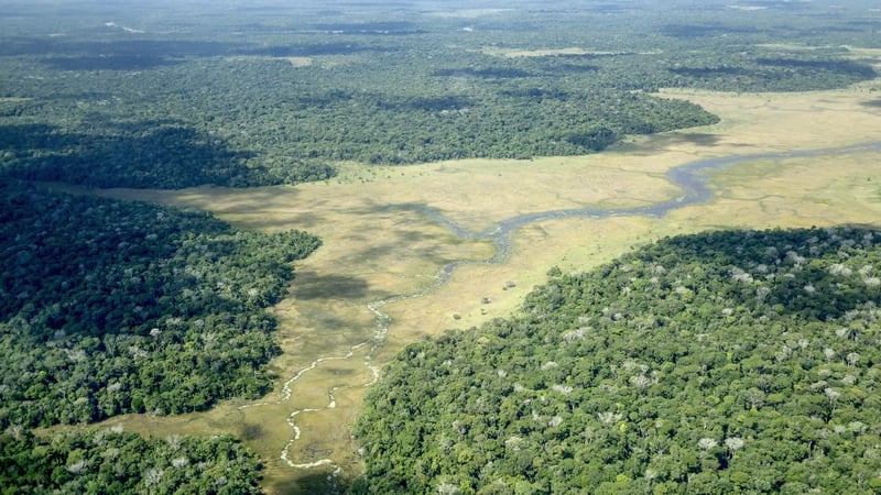 An aerial view of a deforested area on Marajó Island, Amazon Region, northern Brazil