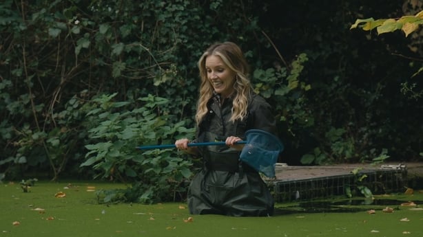 Carla wades into a pond full of duckweed