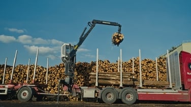 The bioplastics industry and Ireland