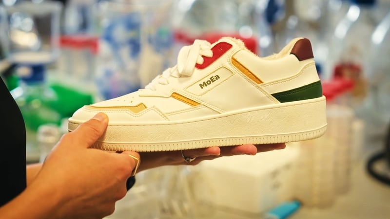 Futureville: A shoe made from waste pineapple plant fibre. Photo: RTÉ/Rare TV