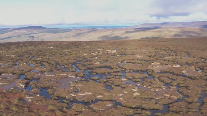 Bencroy Mountain forms part of the Cuilcagh-Anierin Special Area of Conservation