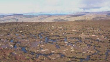 Leitrim farmers pioneering large-scale wetland restoration