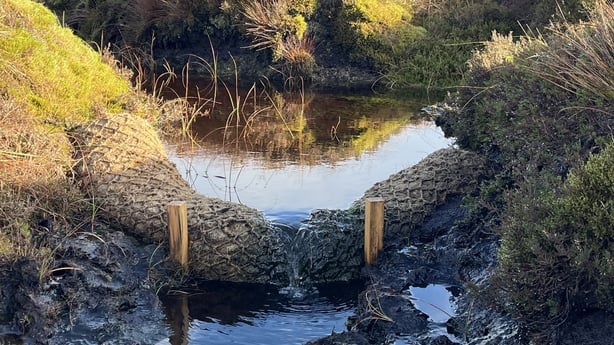Coir log stemming the flow of water in the wetland at Bencroy 