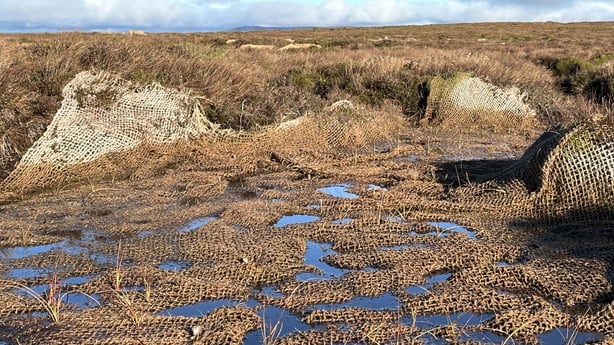 Geotextile mats placed on bare peatland at the top of Bencroy Mountain 