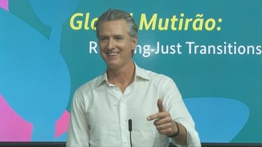 California governor Newsom attends COP to 'build partnerships'