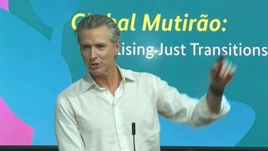 California governor Newsom attends COP to 'build partnerships'