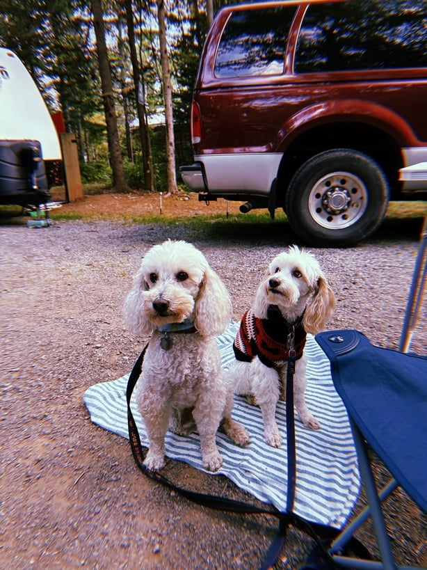 Neighbours at Caribou Campground