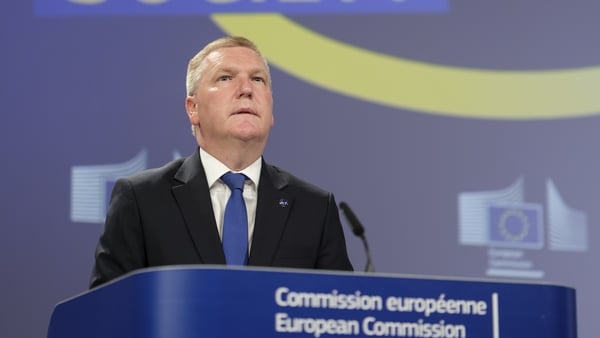 EU Commissioner Michael McGrath stands at a podium during a media event