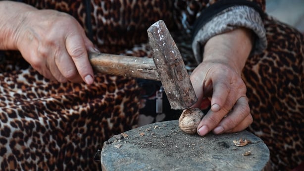 A woman cracks open a walnut with a small hammer