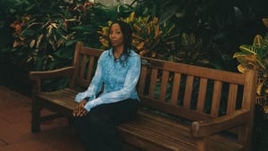 Strange lands still bear common ground | Culture File Digital Single show image