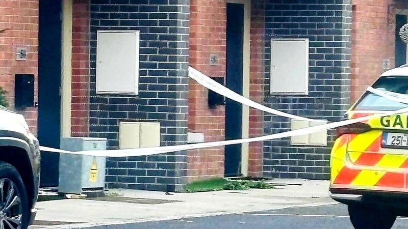 The discovery was made around 8am at Dúiche Roden in Dundalk (pic: LMFM)