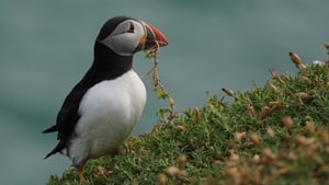 Mooney Goes Wild Monday 24 November 2025 show image