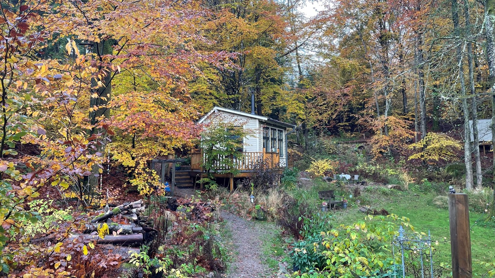 Sweden's silent forests sanctuaries from a noisy world