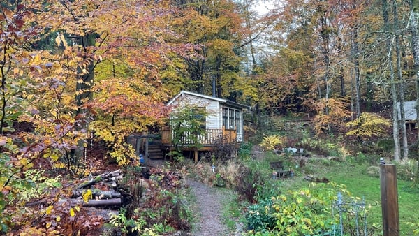 A small cabin in a forest