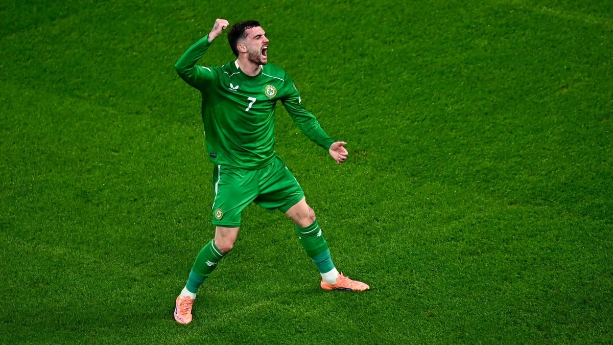 Ireland's World Cup Qualifying Hopes Alive