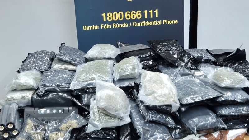 The cannabis and cocaine was seized in Dublin and Wicklow (Pic: Garda Press)