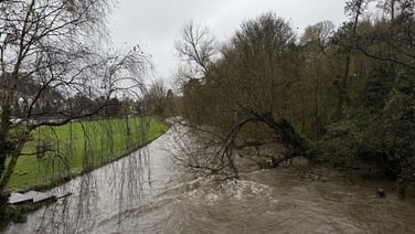 Dublin City Council monitoring the River Dodder as rain warnings expire