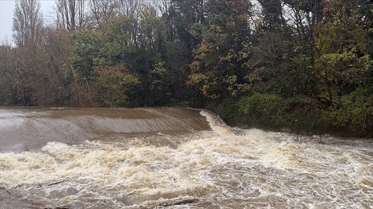 Naturescapes: Getting A Helping Hand From The Natural World