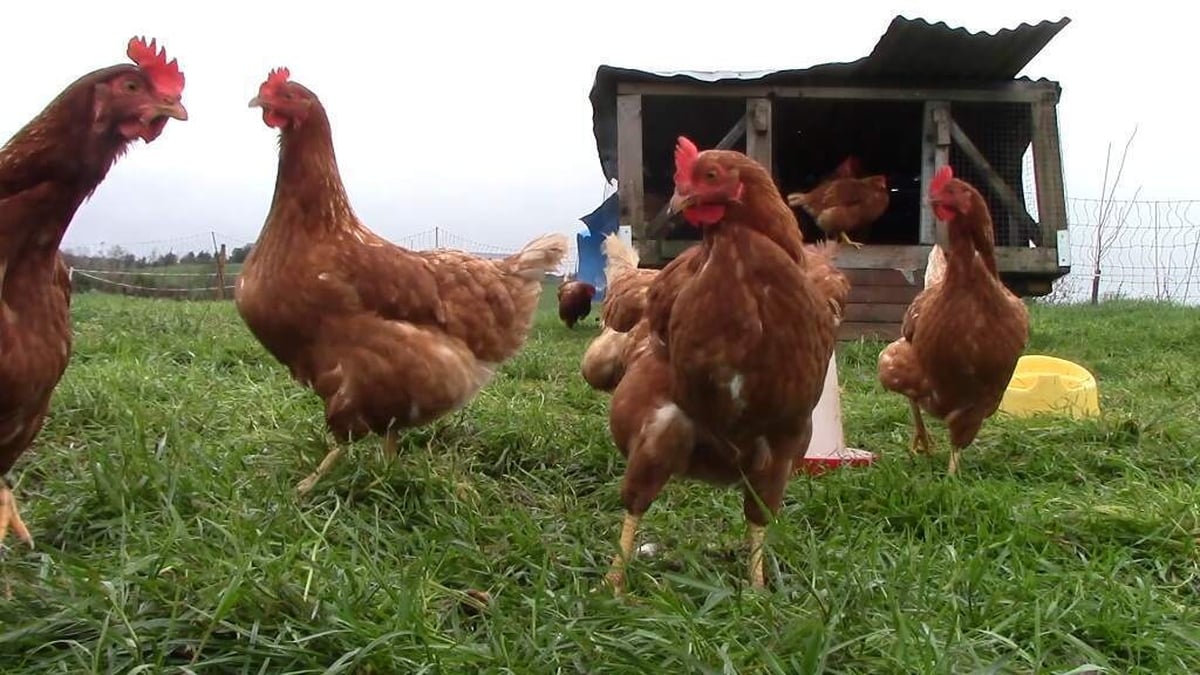  Learning about regenerative farming in Monaghan