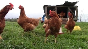  Learning about regenerative farming in Monaghan show image