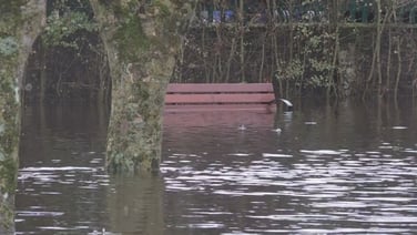 Flooding seen in Portarlington People's Park in Co Laois