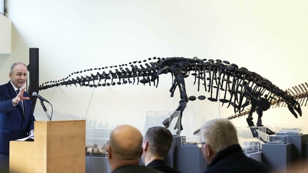 The Domain of the Dinosaurs exhibition was formally opened by the Taoiseach