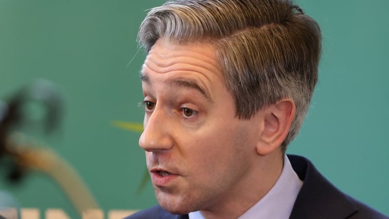 Simon Harris is expected to introduce himself to EU finance ministers later today