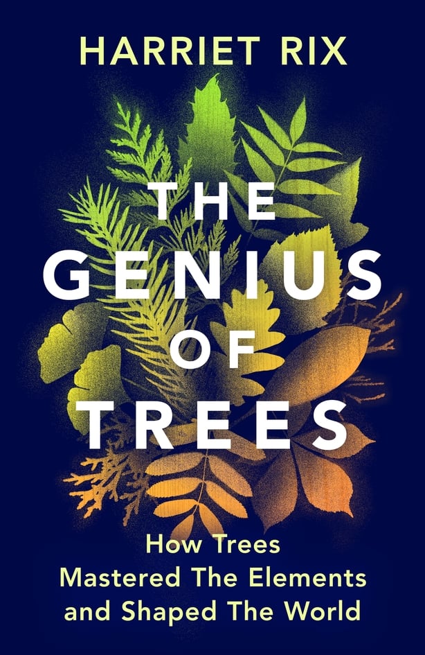 The Genius Of Trees