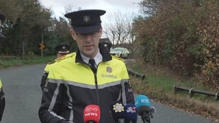 Gardaí say crash will have 'deep impact' on local communities