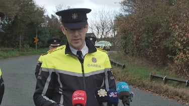 Gardaí say crash will have 'deep impact' on local communities