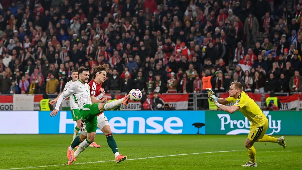 Kellie Harrington on Ireland's epic win in Budapest