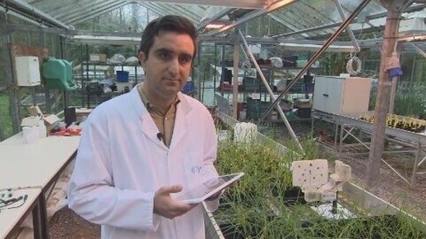 Amin Kargar is a researcher at the Tyndall National Institute in UCC