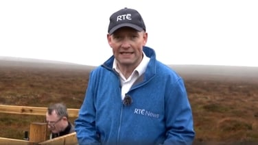 From bogs to bugs: Irish AI climate projects