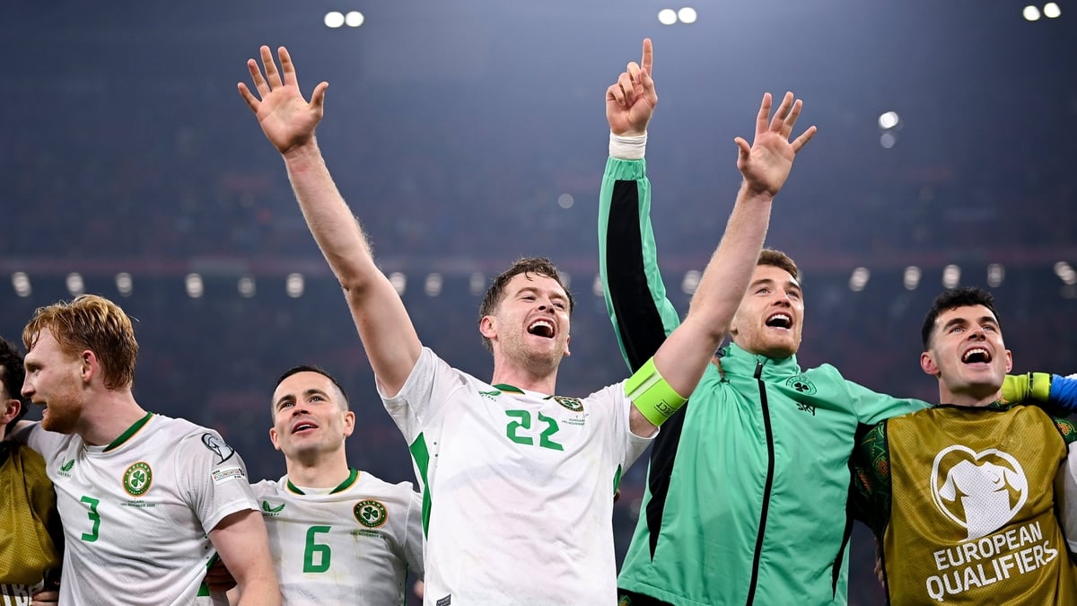 "Amazing night" boosts World Cup hopes for Irish fans