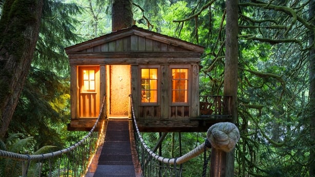 tree house vacation