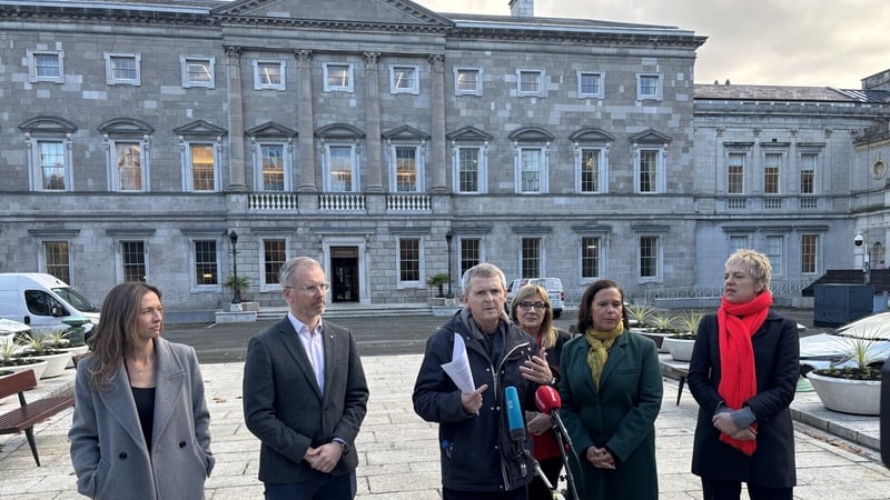 Opposition party leaders and Senator Frances Black spoke at Leinster House