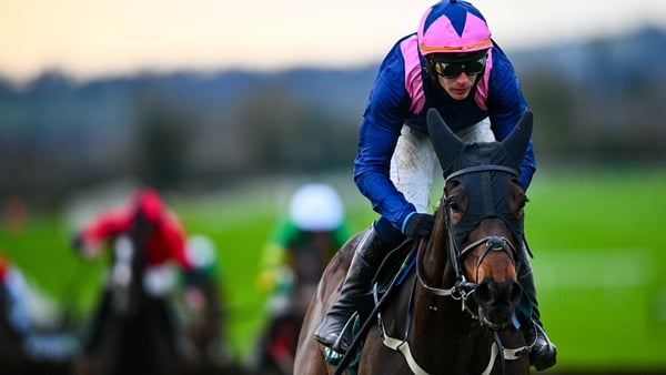 17 November 2025; Kopek Des Bordes, with Paul Townend up, centre, on their way to winning the Pat Sheils Memorial Irish EBF Beginners Chase on Kopek Des Bordes at Navan Racecourse in Meath. Photo by Shauna Clinton/Sportsfile