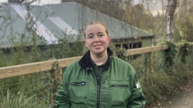 Meet Troy - the parrot named after Ireland’s hat-trick hero