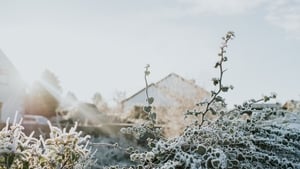 Snow forecast in southern counties  ahead of Storm Goretti show image