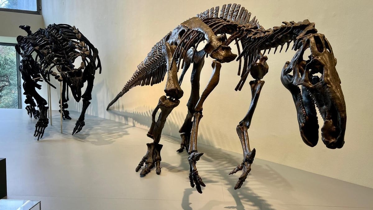 Domain of the Dinosaurs exhibition