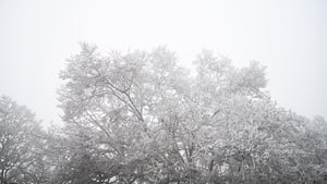 Arctic weather on the way show image