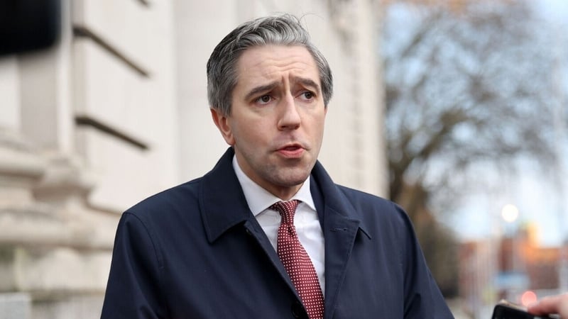 Immigration plan 'common sense measure', says Tánaiste