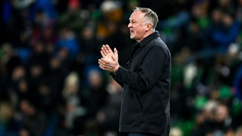 Michael O'Neill's Northern Ireland side finished three points behind Slovakia and six points adrift of Group A winners Germany in Group A