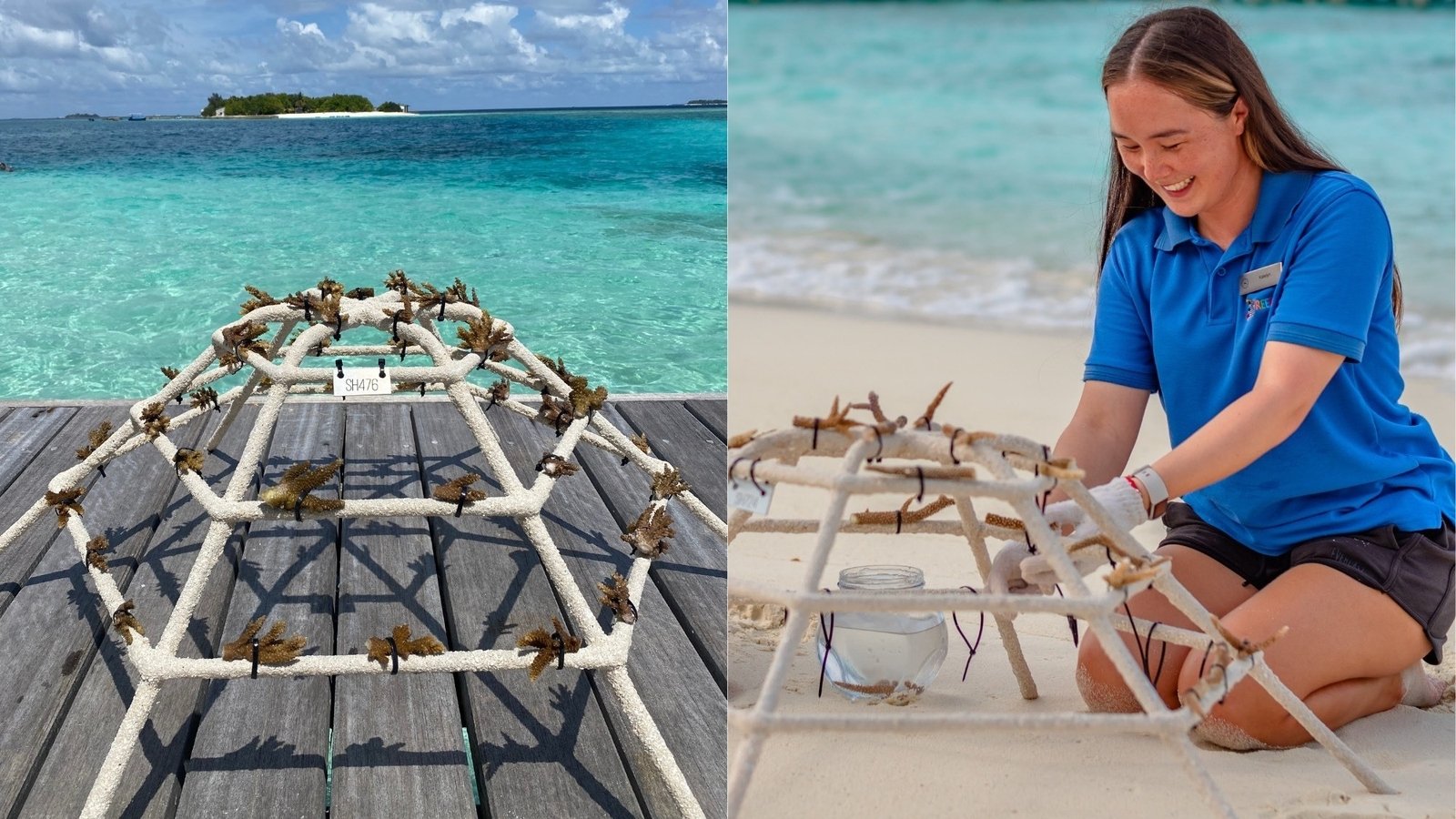 Protecting coral reefs from the Maldives to Ireland