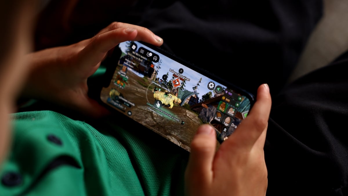 Garda cybercrime unit "very concerned" about possible child exploitation on gaming platforms