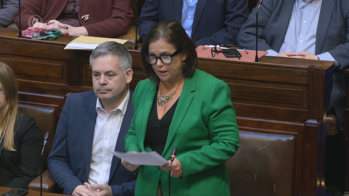 Mary Lou McDonald calls on the government to re-instate energy credits