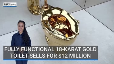 Fully functional 18-karat gold toilet sells for $12M at auction